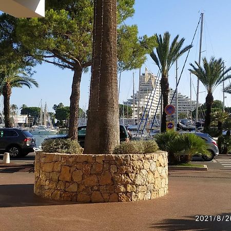 Studio Rez De Jardin Marina Baie Des Anges Villeneuve-Loubet Eksteriør billede