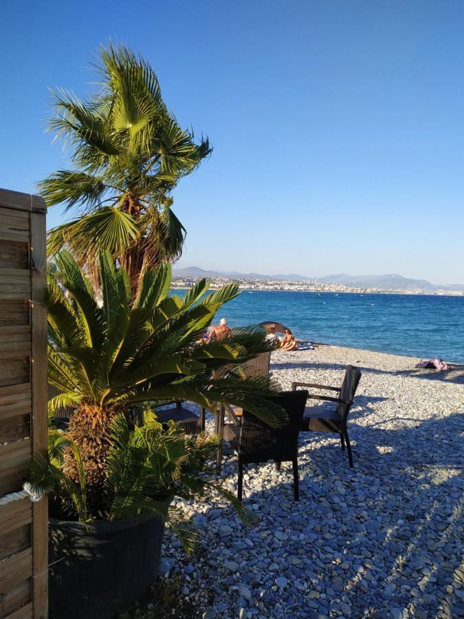 Studio Rez De Jardin Marina Baie Des Anges Villeneuve-Loubet Eksteriør billede