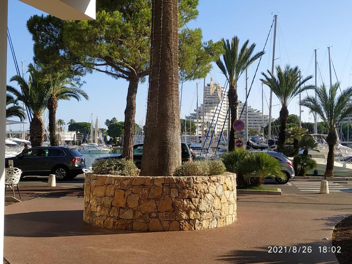 Studio Rez De Jardin Marina Baie Des Anges Villeneuve-Loubet Eksteriør billede